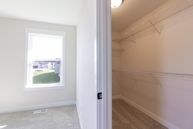 spacious closet featuring carpet floors