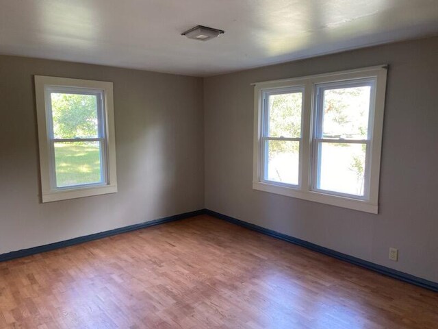 spare room featuring light hardwood / wood-style flooring and a wealth of natural light