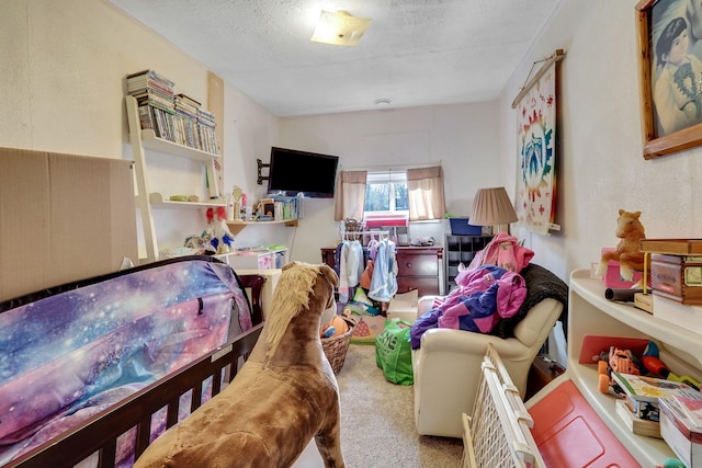 carpeted bedroom with a textured ceiling