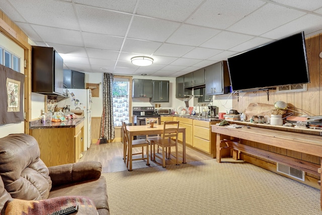 kitchen featuring light hardwood / wood-style floors, stainless steel electric stove, a drop ceiling, wooden walls, and sink