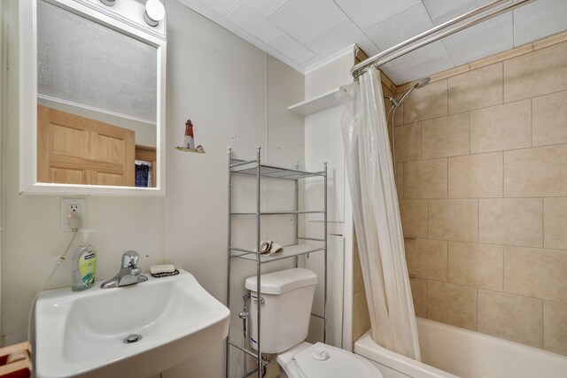 full bathroom with sink, shower / bath combo with shower curtain, toilet, and crown molding