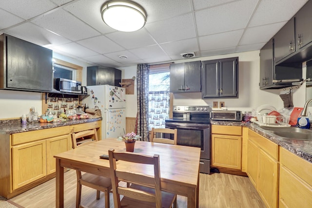 kitchen featuring appliances with stainless steel finishes, a drop ceiling, light wood-type flooring, and sink