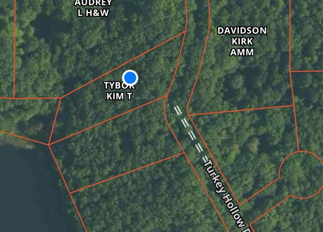 11337 N Caribou Trl, Irons, MI 49644