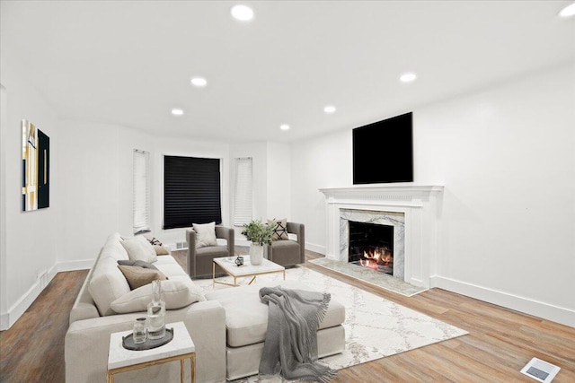 living room featuring wood-type flooring and a premium fireplace