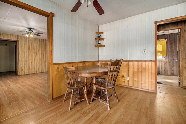 dining area with light hardwood / wood-style floors, wood walls, and ceiling fan