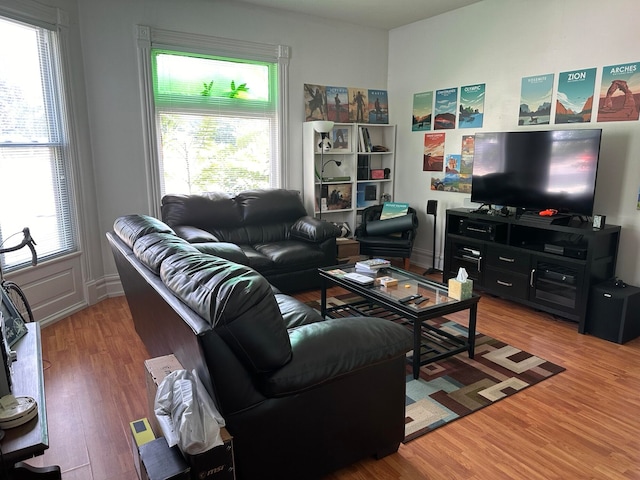 living room with wood-type flooring