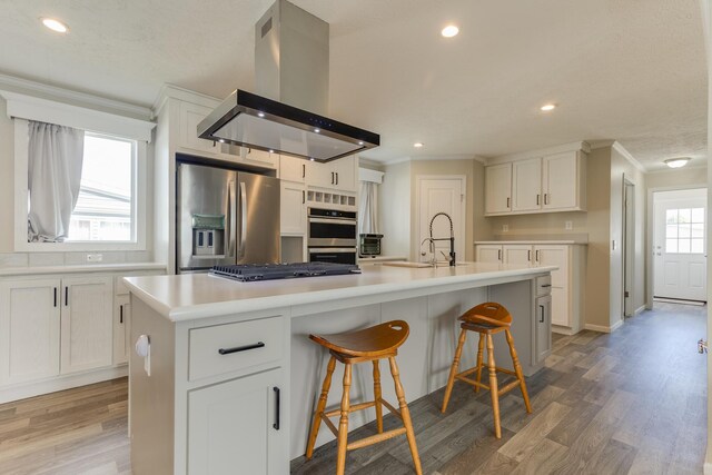 kitchen with island exhaust hood, a kitchen island with sink, stainless steel appliances, and a wealth of natural light