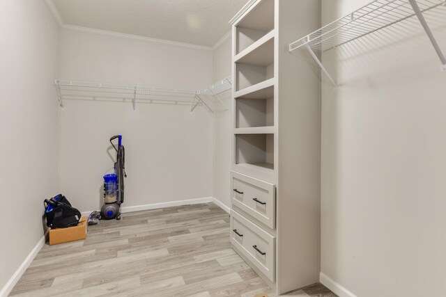 spacious closet with light wood-type flooring