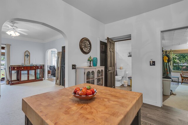 dining area with ceiling fan and light colored carpet