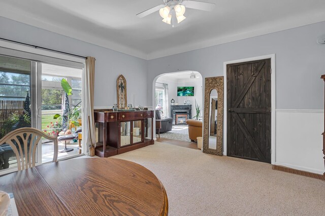 misc room with ceiling fan and carpet