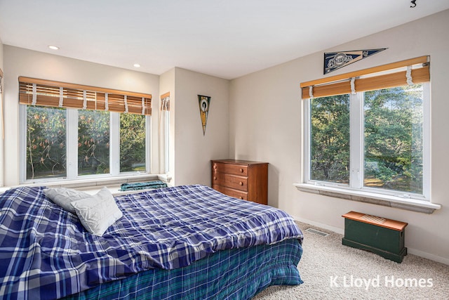 bedroom with carpet and multiple windows