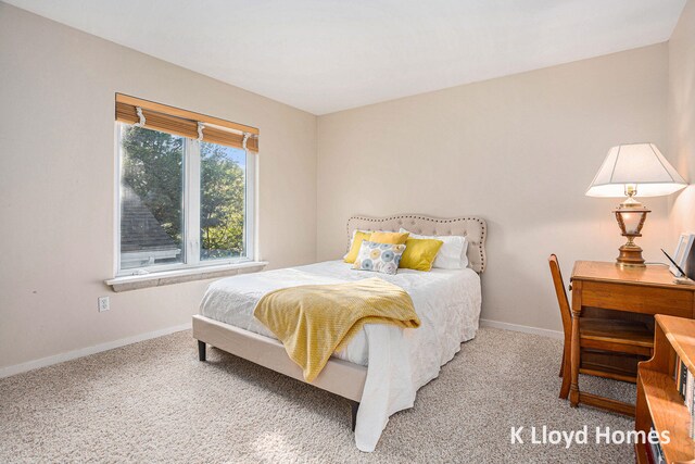 bedroom featuring carpet