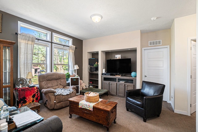 carpeted living room with a textured ceiling