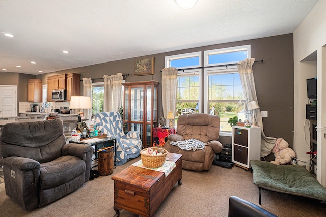 living room with light colored carpet