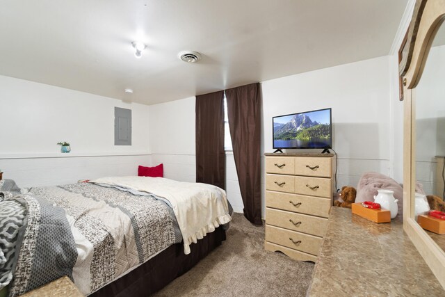 carpeted bedroom with electric panel