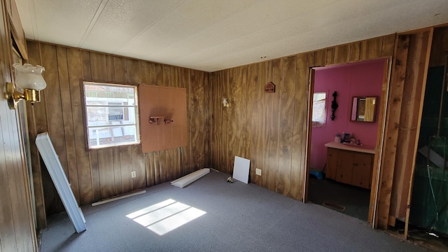 unfurnished room featuring carpet flooring, sink, and wooden walls