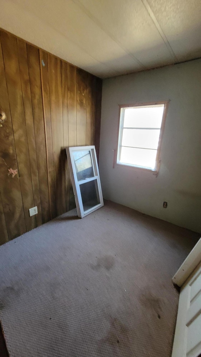 unfurnished room featuring carpet floors and wood walls