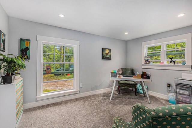 view of carpeted office space