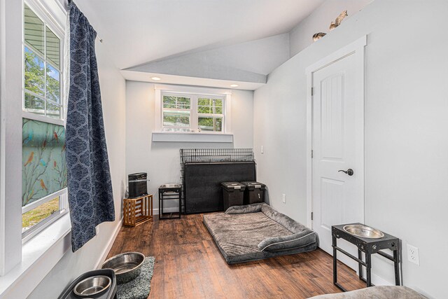 interior space with vaulted ceiling and dark wood-type flooring