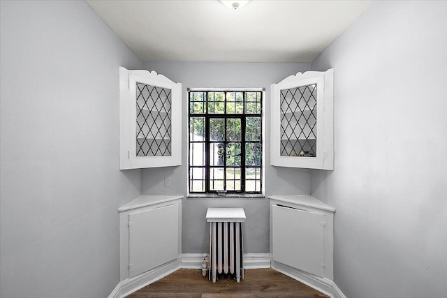 interior space featuring radiator heating unit and dark wood-type flooring