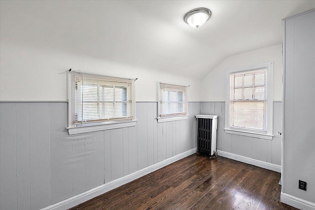 interior space with vaulted ceiling and dark hardwood / wood-style floors