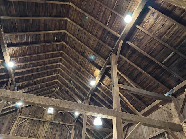 miscellaneous room featuring lofted ceiling