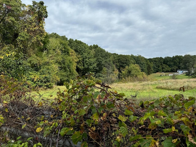 view of landscape