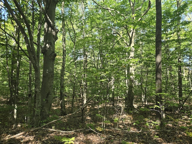 V/L Cherry St, Ludington, MI 49431