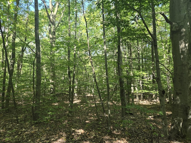 V/L Cherry St, Ludington, MI 49431