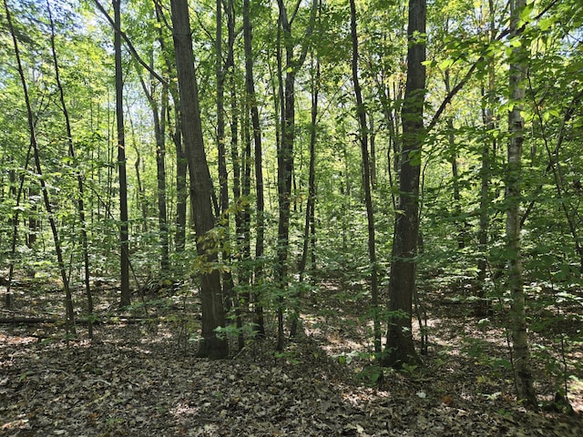 V/L Cherry St, Ludington, MI 49431