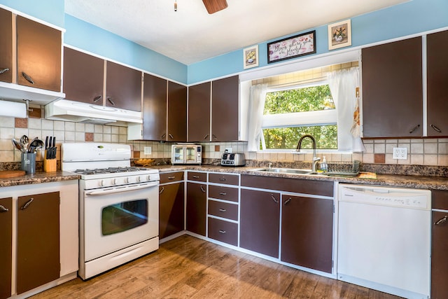 kitchen featuring dark brown cabinets, light wood-type flooring, sink, and white appliances