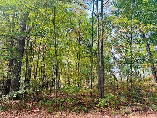0 Ramona Park Ave, White Cloud, MI 49349