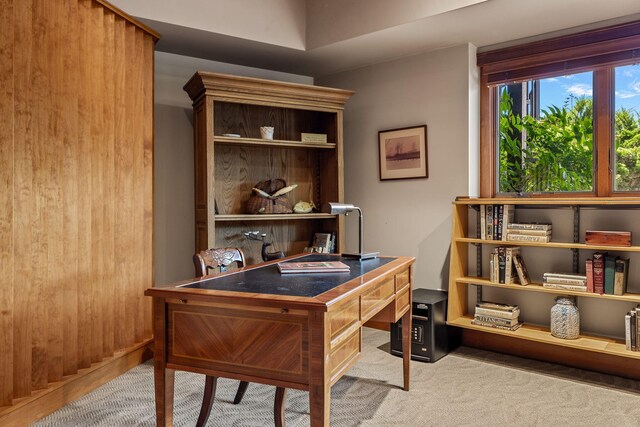 office area featuring light colored carpet