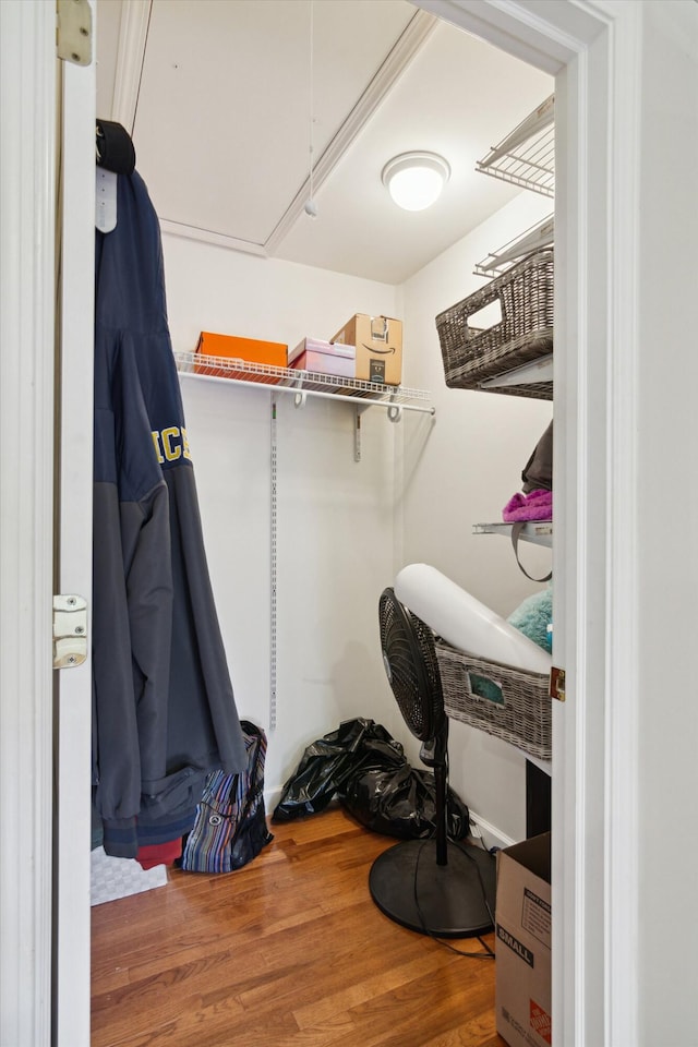 walk in closet featuring wood-type flooring