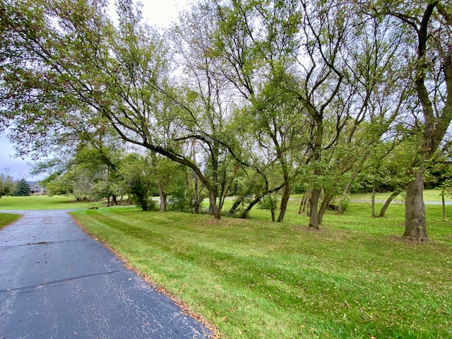 view of road