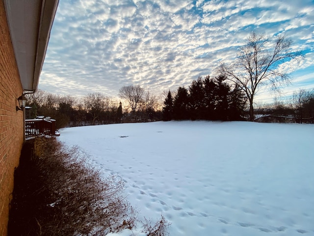 view of yard covered in snow