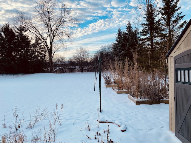 view of snowy yard