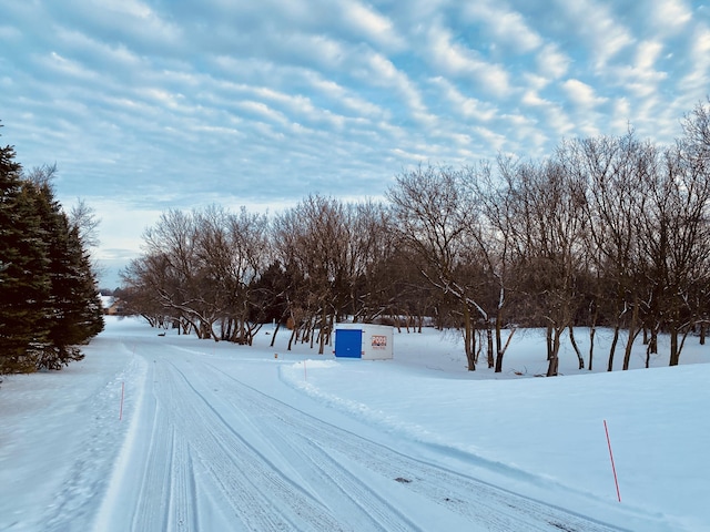 view of yard covered in snow