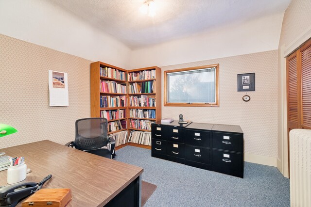 office area featuring carpet and a textured ceiling