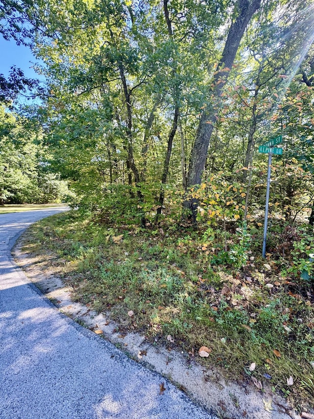 E Donna St, Fountain, MI 49410