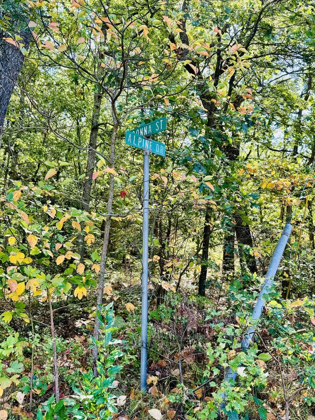 E Donna St, Fountain, MI 49410