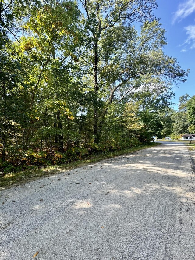 E Donna St, Fountain, MI 49410
