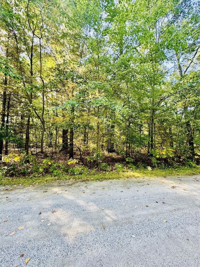 E Donna St, Fountain, MI 49410