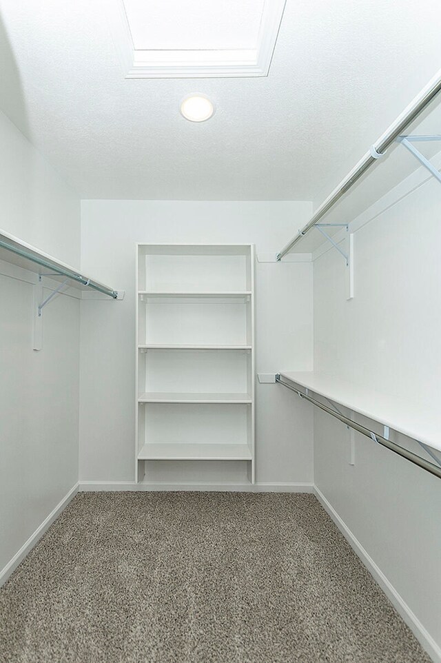 walk in closet featuring carpet flooring