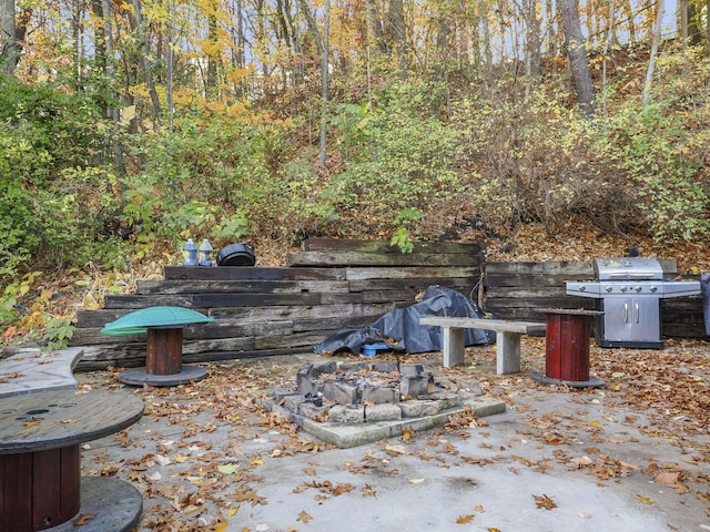 view of patio / terrace featuring grilling area