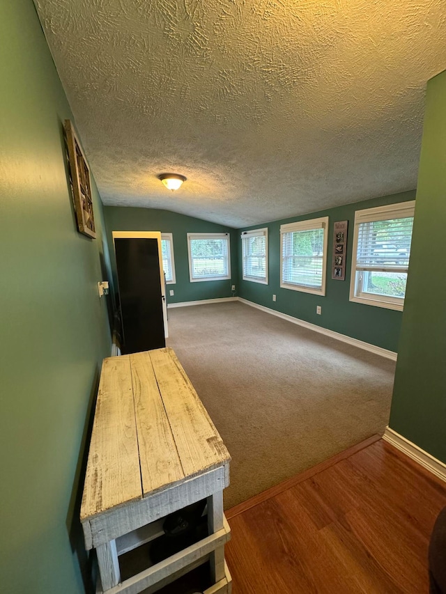 interior space with hardwood / wood-style flooring, a textured ceiling, and lofted ceiling