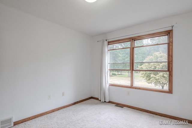 empty room with a wealth of natural light and carpet floors