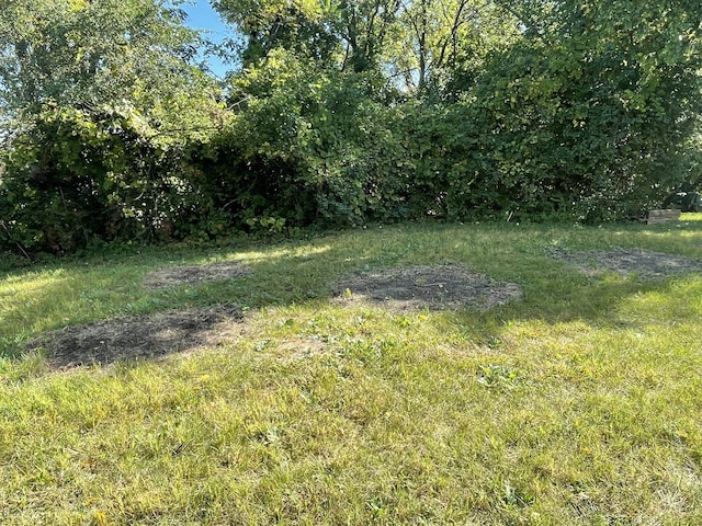 319 Orchard St, Ypsilanti, MI 48197 - photo 2