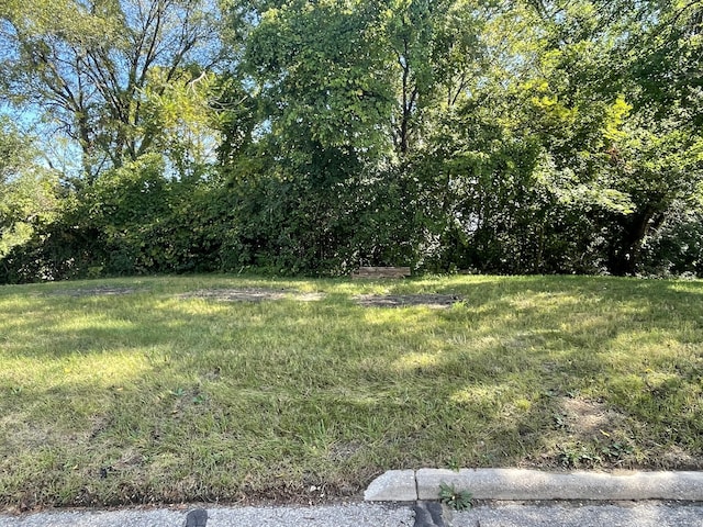 319 Orchard St, Ypsilanti, MI 48197 - photo 1