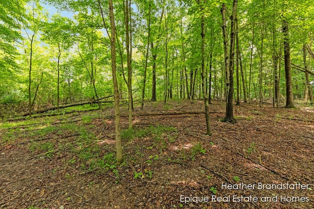4327 Woodside Oaks Dr SE, Kentwood, MI 49546 - photo 6